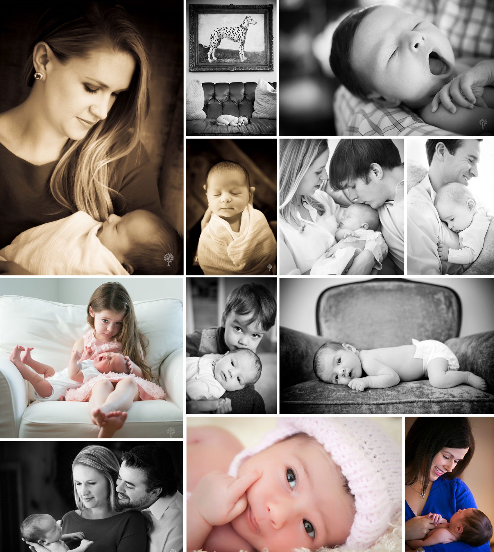 Newborn Sessions by Art of Life Photography